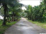 Puerto Hermina Beach - QUEBRADILLAS